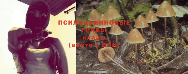 стафф Михайлов