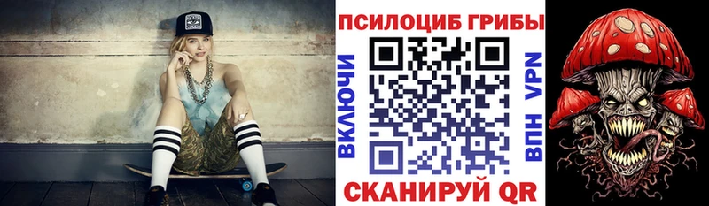 Псилоцибиновые грибы GOLDEN TEACHER  Кимовск 