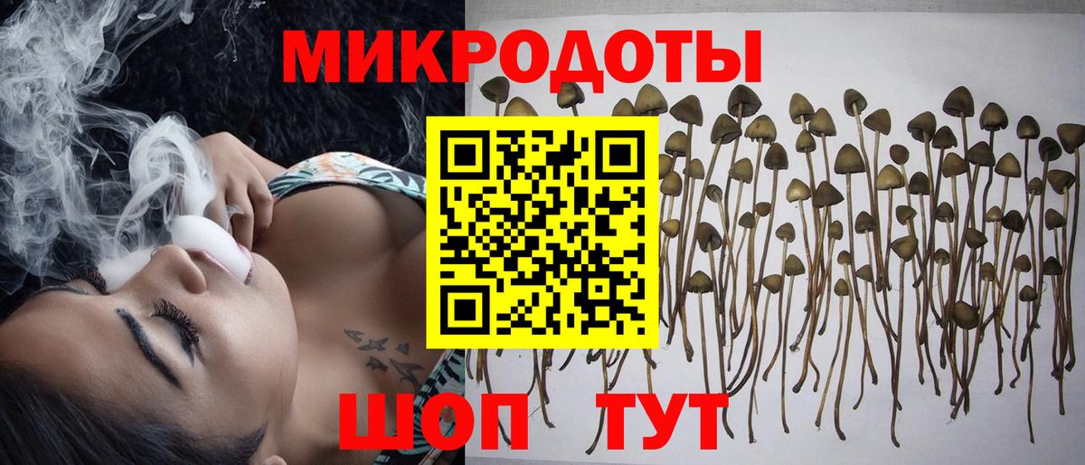 Галлюциногенные грибы Кимовск