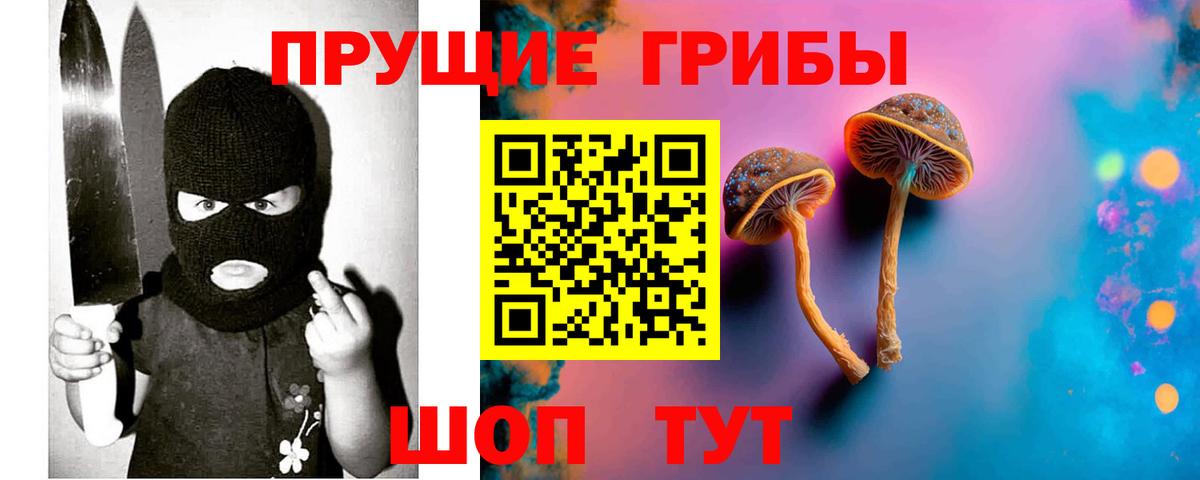 Галлюциногенные грибы GOLDEN TEACHER Кимовск