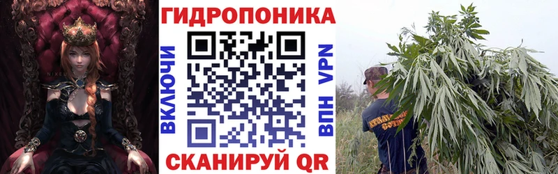 Бошки марихуана индика  закладка  Кимовск 